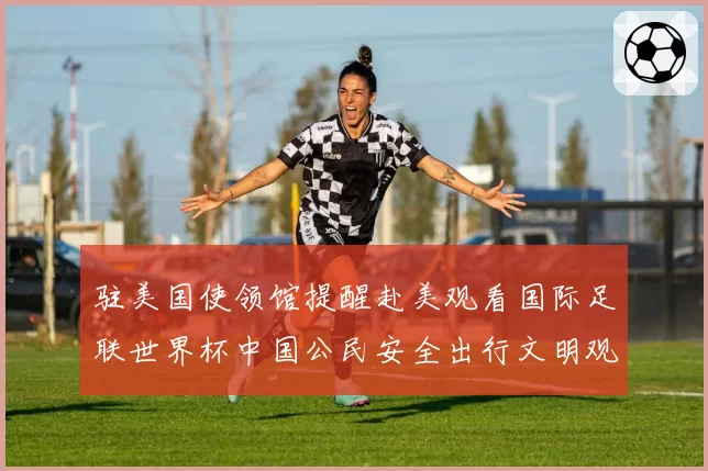 驻美国使领馆提醒赴美观看国际足联世界杯中国公民安全出行文明观赛