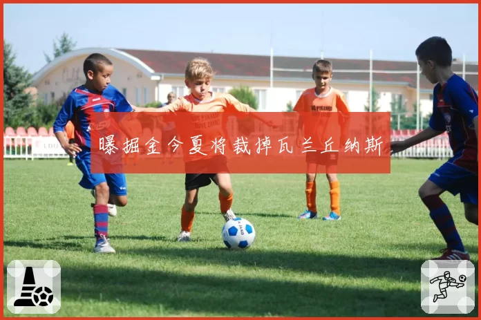 曝掘金今夏将裁掉瓦兰丘纳斯