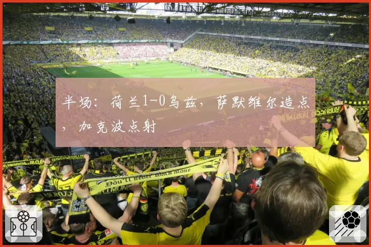 半场：荷兰1-0乌兹，萨默维尔造点，加克波点射