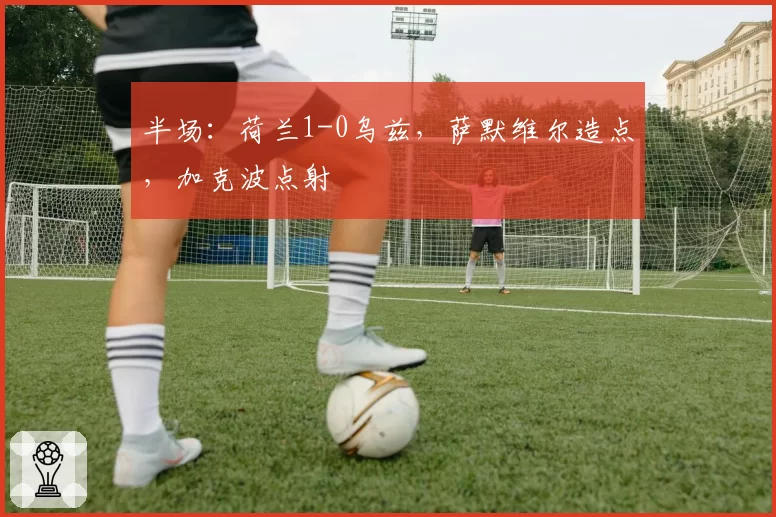 半场：荷兰1-0乌兹，萨默维尔造点，加克波点射